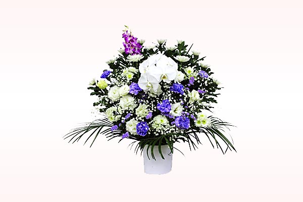 �ڱ��Ԥβ�²����