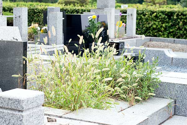 �ڱ��Ԥβ�²����